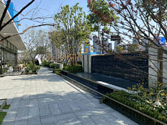 Massarotto采集到示范区