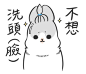 其中包括图片：