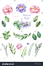 Handpainted watercolor flowers,leaves."Magical Night".19 lovely clipart of peony,foliage,leaves,branches and flowers.Can be used for your project,greeting cards,wedding,Birthday cards,bouquets,wreaths - 站酷海洛正版图片, 视频, 音乐素材交易平台 - Shutterstock中国独家合