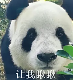 收集一波熊猫表情包