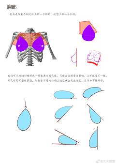 布爪子采集到绘画教程