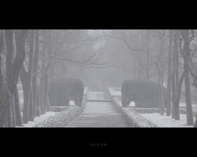 思君清若雪。 - 乌蛮的樹 - CNU视...