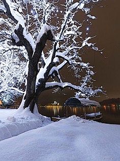 嘎抹_采集到雪景