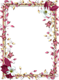 花 画框 花框 PNG@北坤人素材