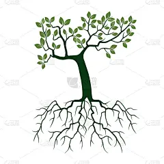 绿色的向量树。