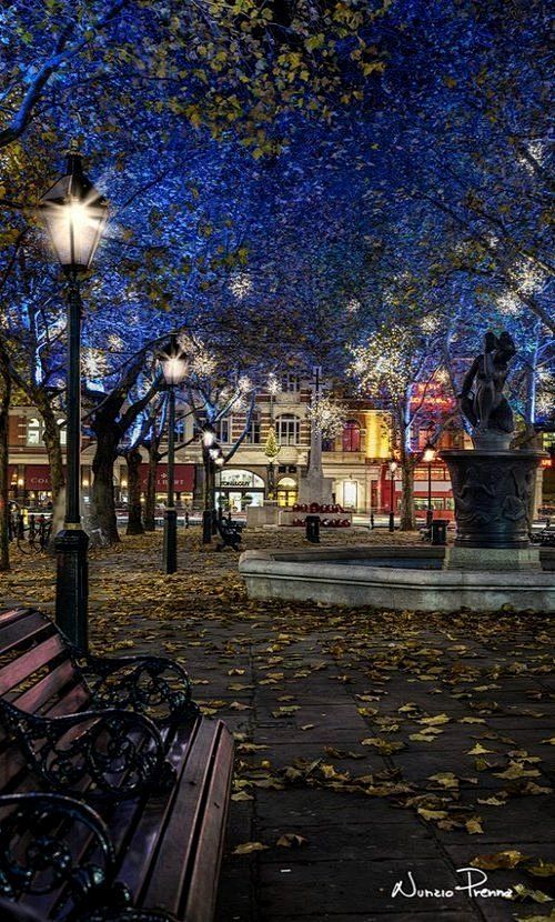 圣诞节在斯隆广场，伦敦，英国