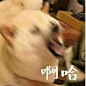 #头像#  #背景图# #个性#  #搞笑# #情侣头像# #情头#