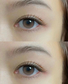 木梓森采集到美睫