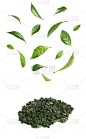 白底上的新鲜和干茶叶