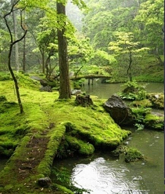 秋水柔采集到旅行