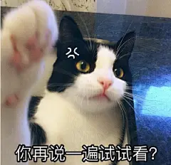 QQ截图20170417132259