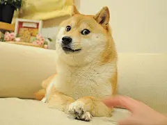 采集图片