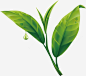 茶叶水墨茶叶纹理免抠png素材_新图网ixintu.com