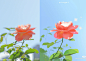 XHS_164724260990501021c016izaswwnam1011dqls11daj8