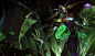 Lissandra_Splash_2