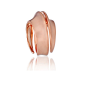 Spira Ring in Rose Gold