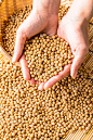我是bean