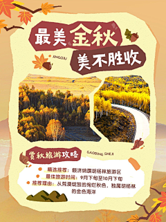 鹏飞90采集到1