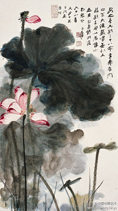flora_o0o00oo采集到难以归类 自成一家