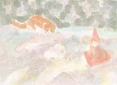 懵懂的温柔 cr.spsp88 ​​​