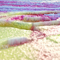 地表色彩 | skip1frame ​​​​