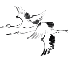 轩辰采集到传统滋补PNG