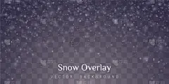 透明,背景聚焦,雪,分离着色,自然,幻想,干燥食品,庆祝,设计,装饰