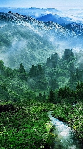 森林 山水风景H5背景