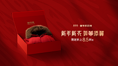 Mint1016采集到Banner/海报