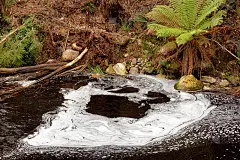 玛格丽特湖大坝泄洪道下游的水面上正在形成泡沫