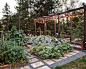This is an example of a traditional vegetable garden landscape in Denver.