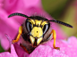 16sucai_P582E089_214