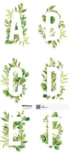 貓De夢在樹裏采集到植物鉴定之恋