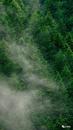 海的味道yu知道采集到背景/渲染场景/渐变/色彩感强烈 素材