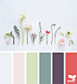 Design Seeds ︰ Your daily dose of inspiration ... for all who love color.(5C060)