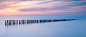 Mussel poles, dusk