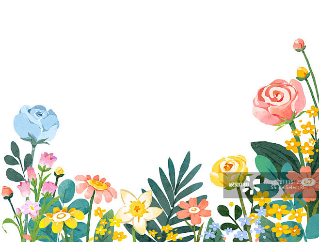 花,插图画法,插画,绘画插图,植物图片素材