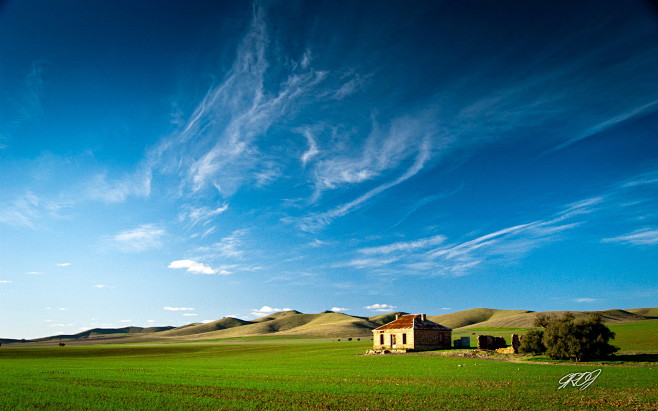 我的家乡 内蒙古科尔沁草原
#内蒙古 #...