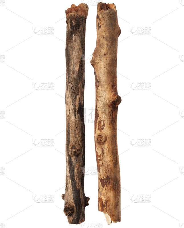 棍,自然,垂直画幅,褐色,无人,嫩枝,背景分离,特写,坏掉的,部分