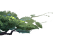 序列帧