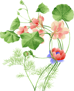jamoon采集到水彩手法素材