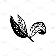 可爱的手绘单叶樱花元素。传统的日本或中国春花水墨风格。涂鸦樱桃。