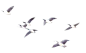 素材