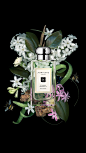 Classic white flowers tantalise against a rich backdrop of cardamom. Vintage Gardenia is back, exclusively online as part of our Archive Collection. #JoMaloneLondon
