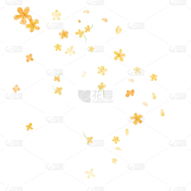 手绘水彩黄色漂浮花瓣元素