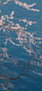 61265366d0160924e352edcf910735fae4cd34ce.jpg (1080×2336)
