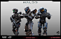 Halo 5 Guardians  _  multiplayer armors, pablo vicentin : ARMOR: High Poly , Low Poly, UV's, Bakes and Textures by Pablo Vicentin

BR rifle, and Techsuit probided by 343 Industries. 