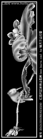 花鸟