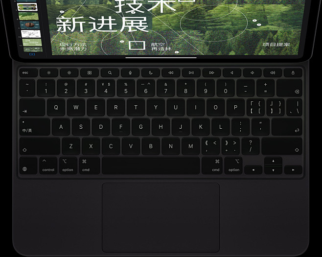 iPad Pro - Apple (中国...