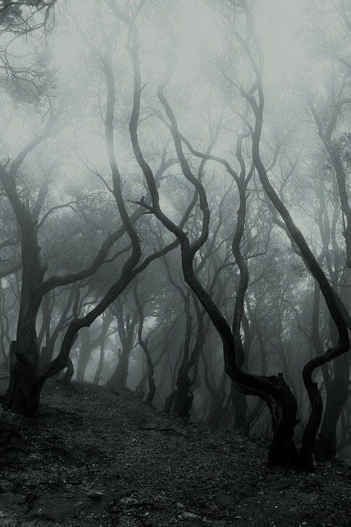 (44) Pinterest